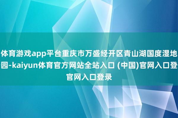 体育游戏app平台重庆市万盛经开区青山湖国度湿地公园-kaiyun体育官方网站全