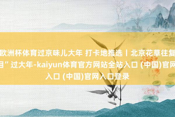 欧洲杯体育过京味儿大年 打卡地推选丨北京花草往复中心“项目”过大年-kaiyun