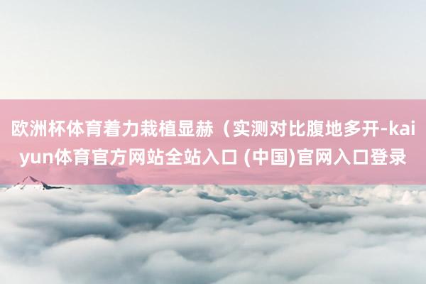 欧洲杯体育着力栽植显赫(实测对比腹地多开-kaiyun体育官方网站全站入口 (中国)官网入口登录