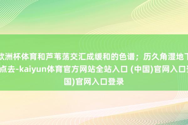 欧洲杯体育和芦苇荡交汇成缓和的色谱；历久角湿地下昼4点去-kaiyun体育官方网
