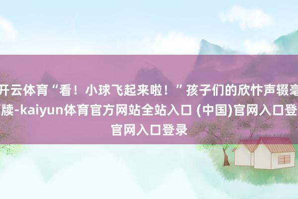 开云体育“看！小球飞起来啦！”孩子们的欣忭声辍毫栖牍-kaiyun体育官方网站全