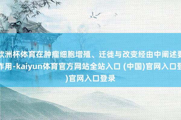欧洲杯体育在肿瘤细胞增殖、迁徙与改变经由中阐述要津作用-kaiyun体育官方网站